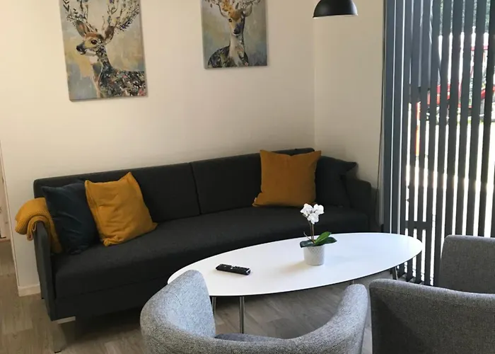 Dcu-camping * Odense